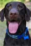 Photo of Oliver