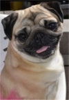 Photo of Sprout