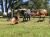 1093_20180531154032.jpg