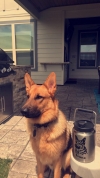 1093_20180531154521.jpg
