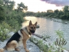 1093_20191106110227.jpg
