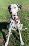 Photo of Tully