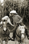212_20110401170033.jpg