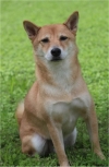 Photo of Taisho